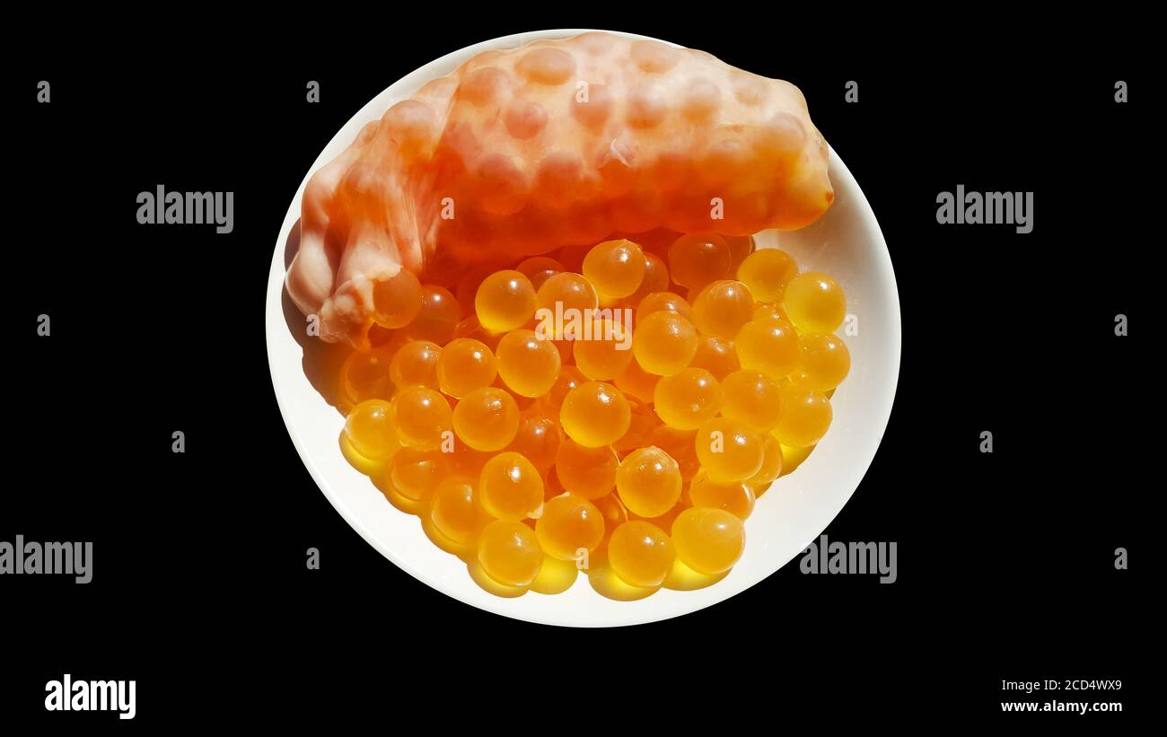 giant sea catfish roe, arius thalassinus, fish eggs on plate with path
