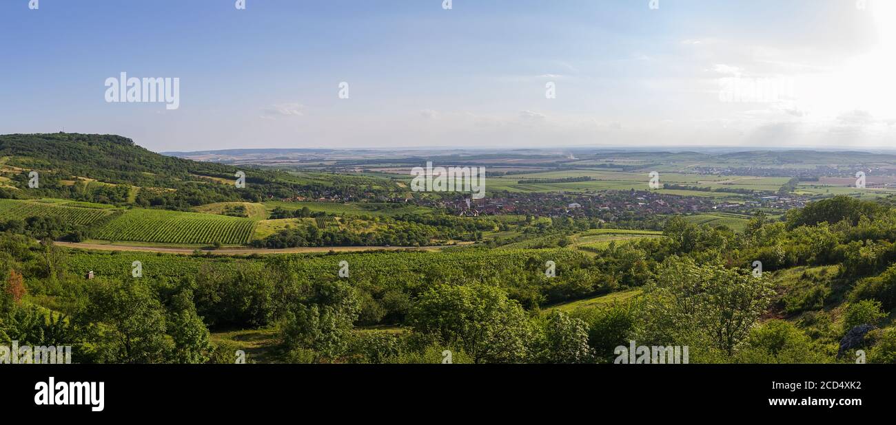 Panoramic view to vineyard landscape with hills and small village Perna, Palava Czech republic Stock Photo