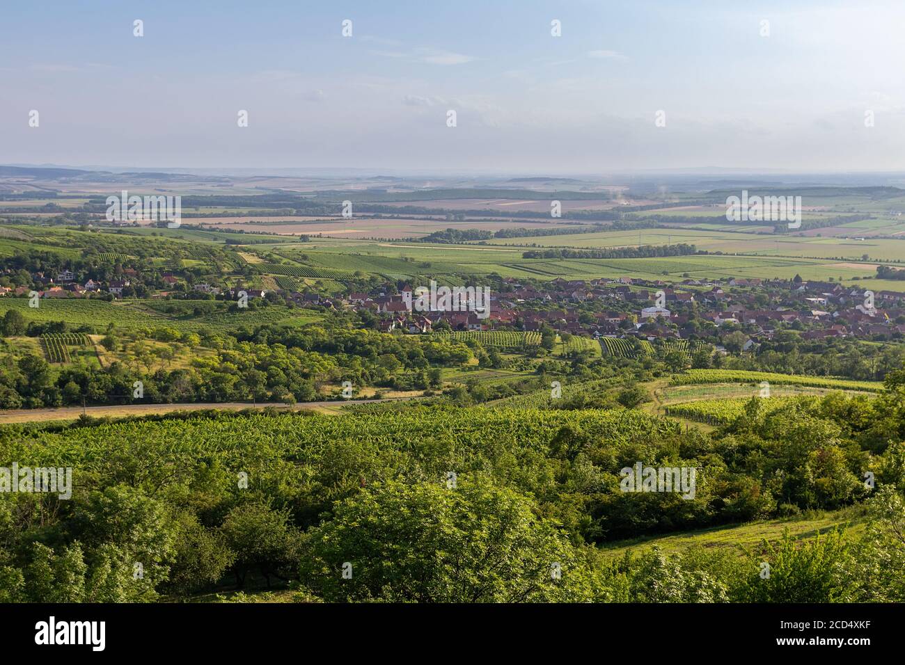 Vineyard landscape with hills and small village Perna, Palava Czech republic Stock Photo