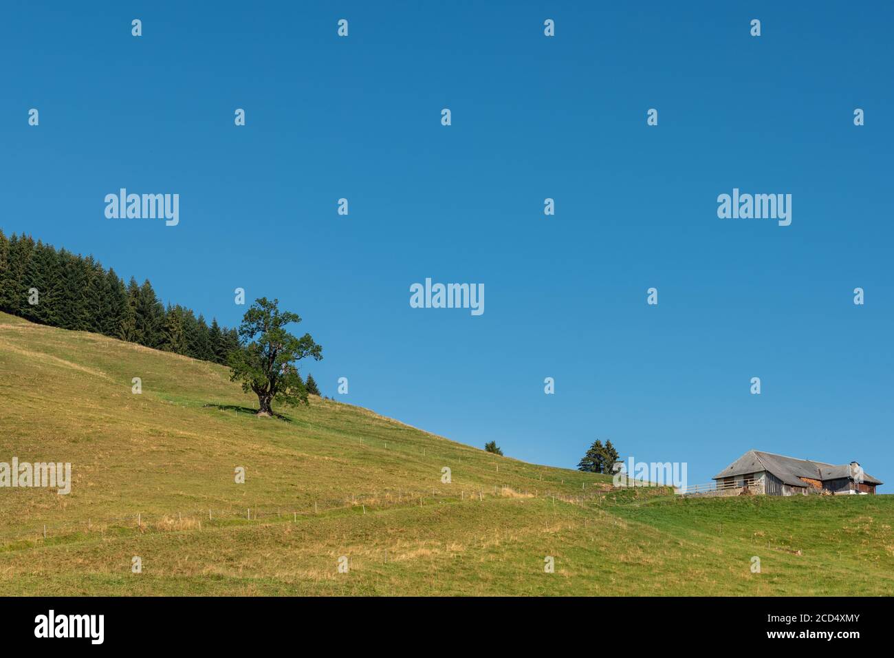 A minimal Swiss landscape with a blue sky, Switzerland Stock Photo