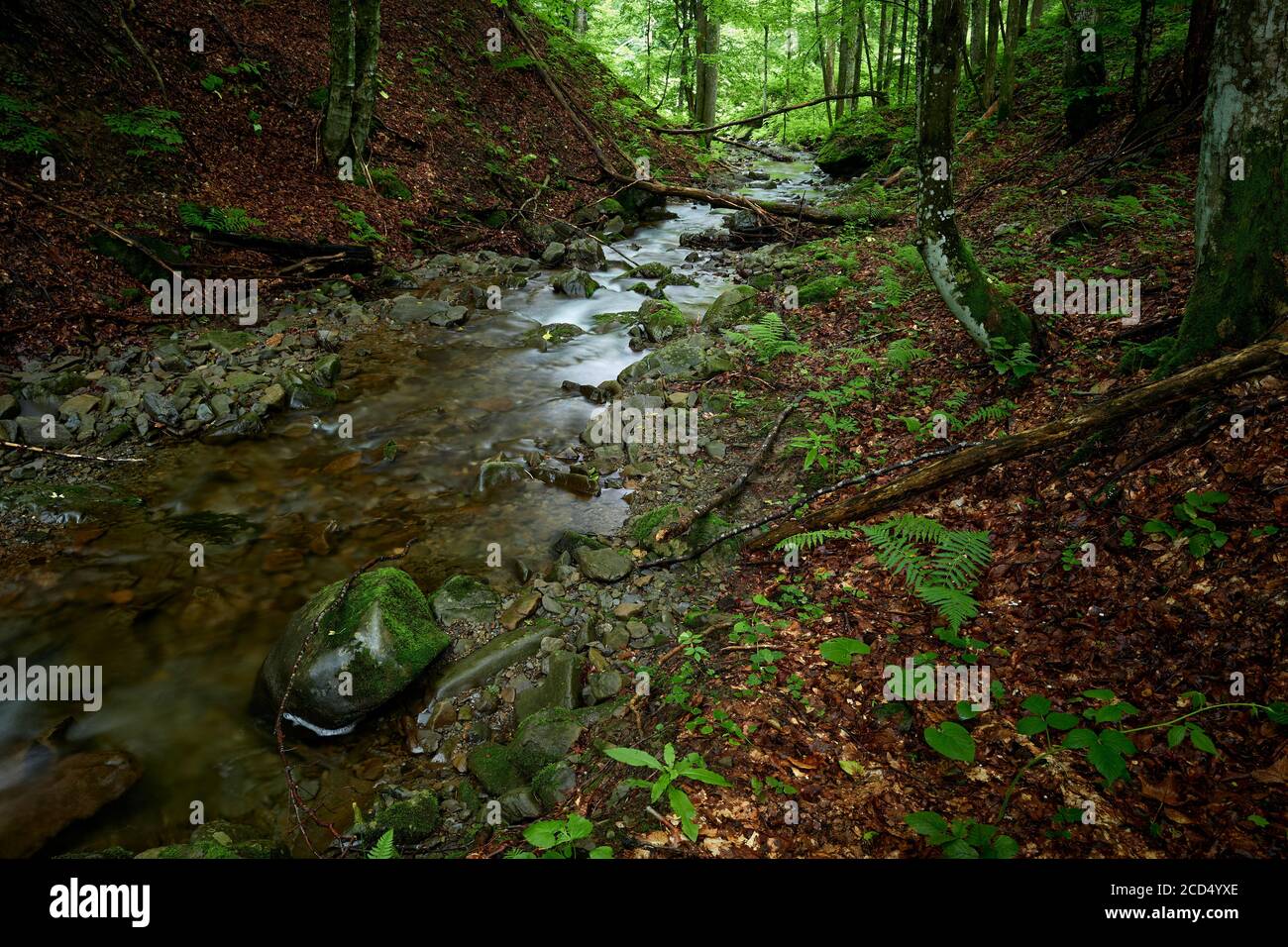 Cool as a mountain stream hi-res stock photography and images - Alamy