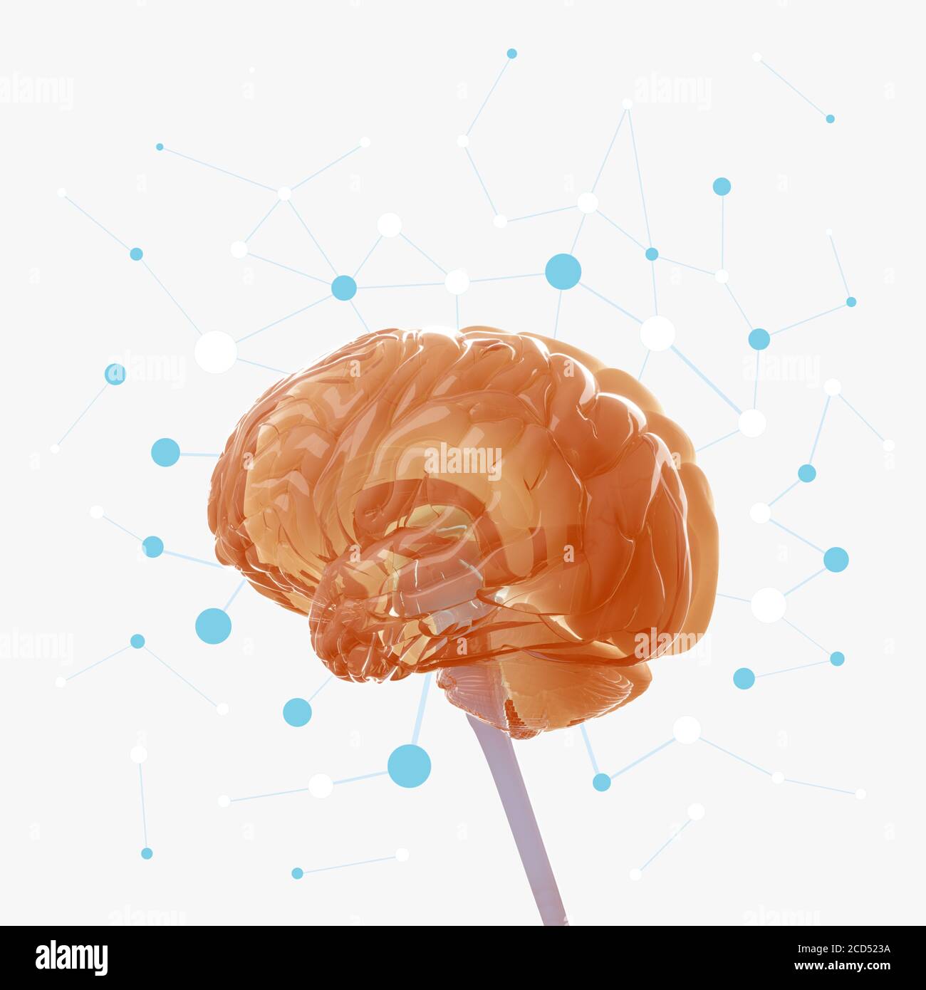 Anatomy illustration of human brain concept art 3D illustration Stock ...