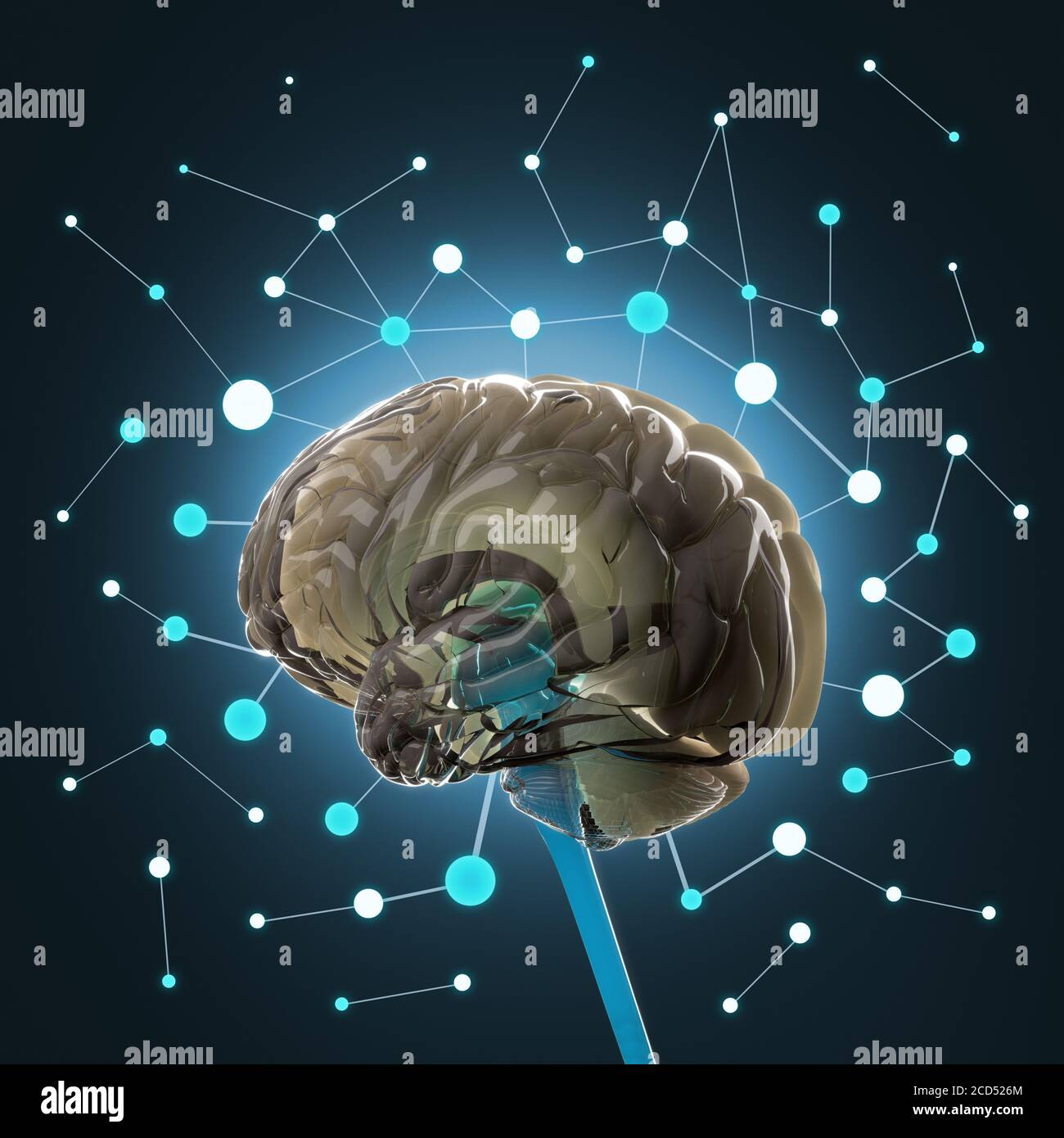 Anatomy illustration of human brain concept art 3D illustration Stock ...