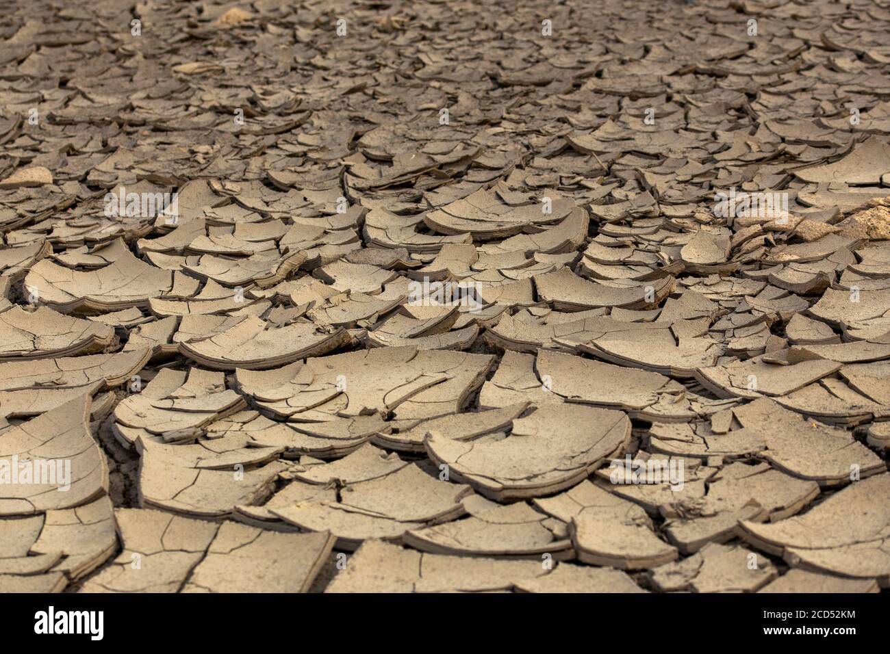 dry cracked mud desert like gray background, scorched earth with selective  focus Stock Photo - Alamy