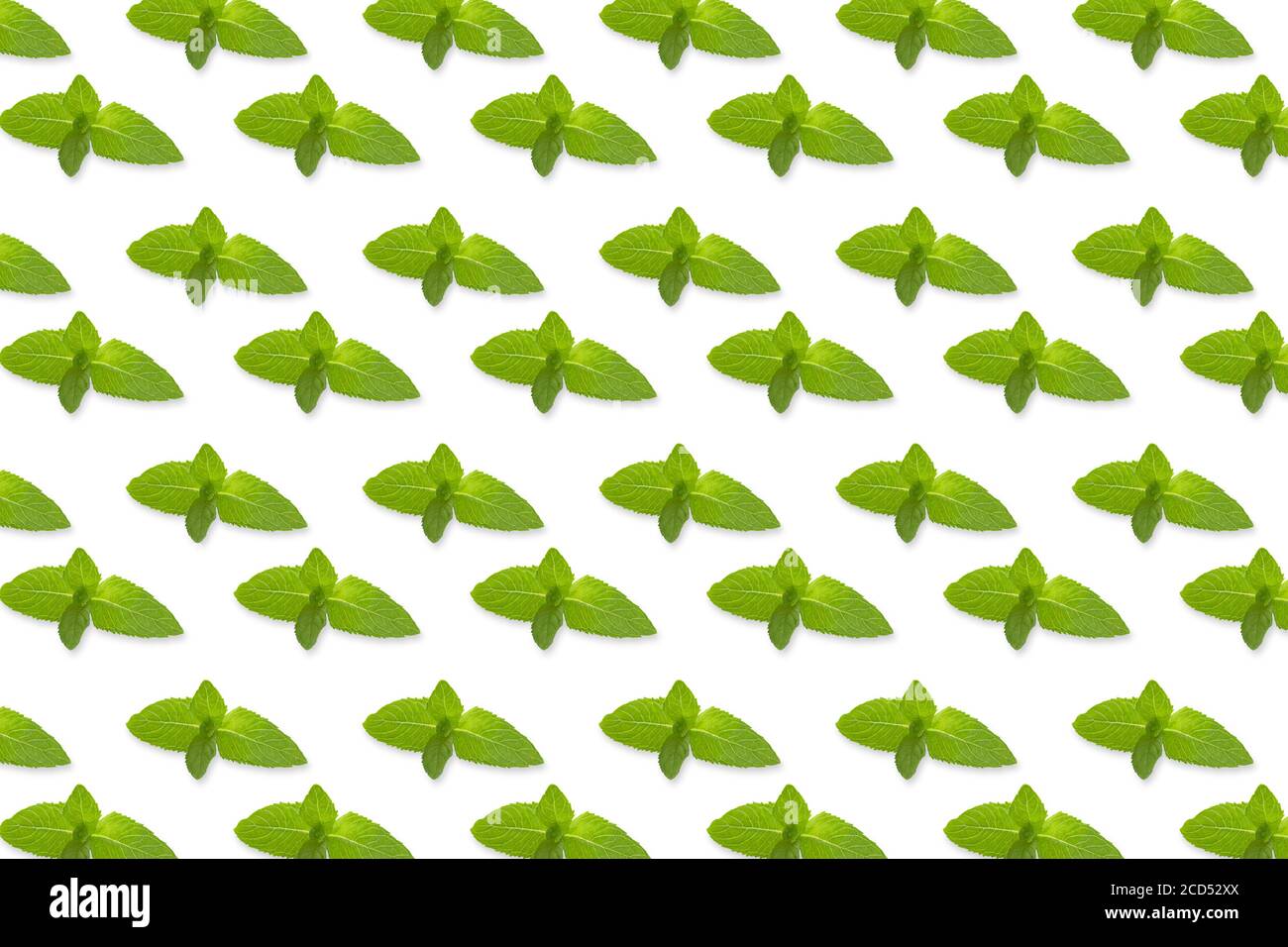 Pattern of fresh vegetables isolated on creative colored texture Stock Photo