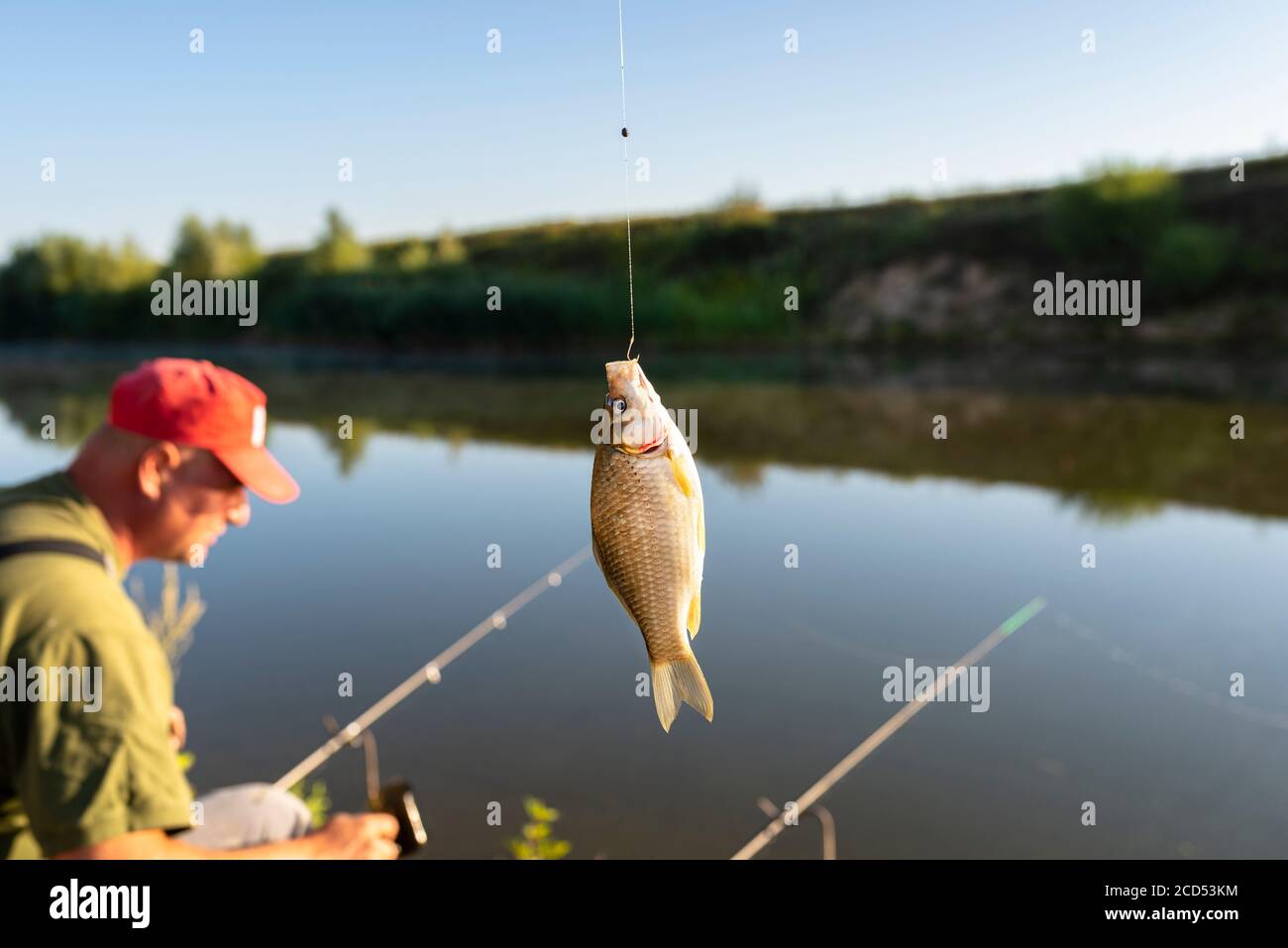 https://c8.alamy.com/comp/2CD53KM/crucian-fish-caught-on-bait-by-the-lake-hanging-on-a-hook-on-a-fishing-rod-in-the-background-an-angler-catching-fishes-2CD53KM.jpg
