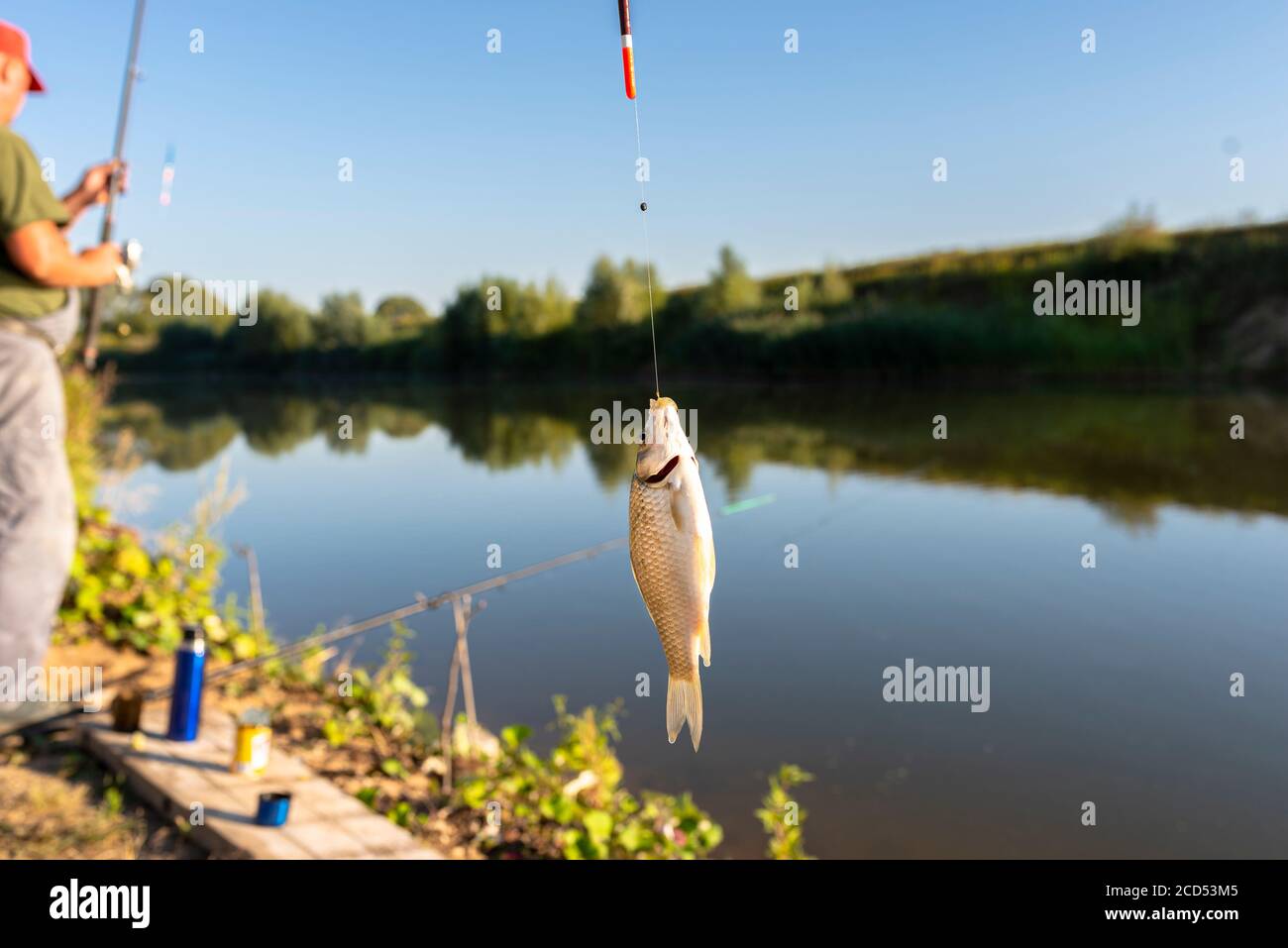 Fish Caught In The Lake Hanging On A Fishing Line And Hook Stock