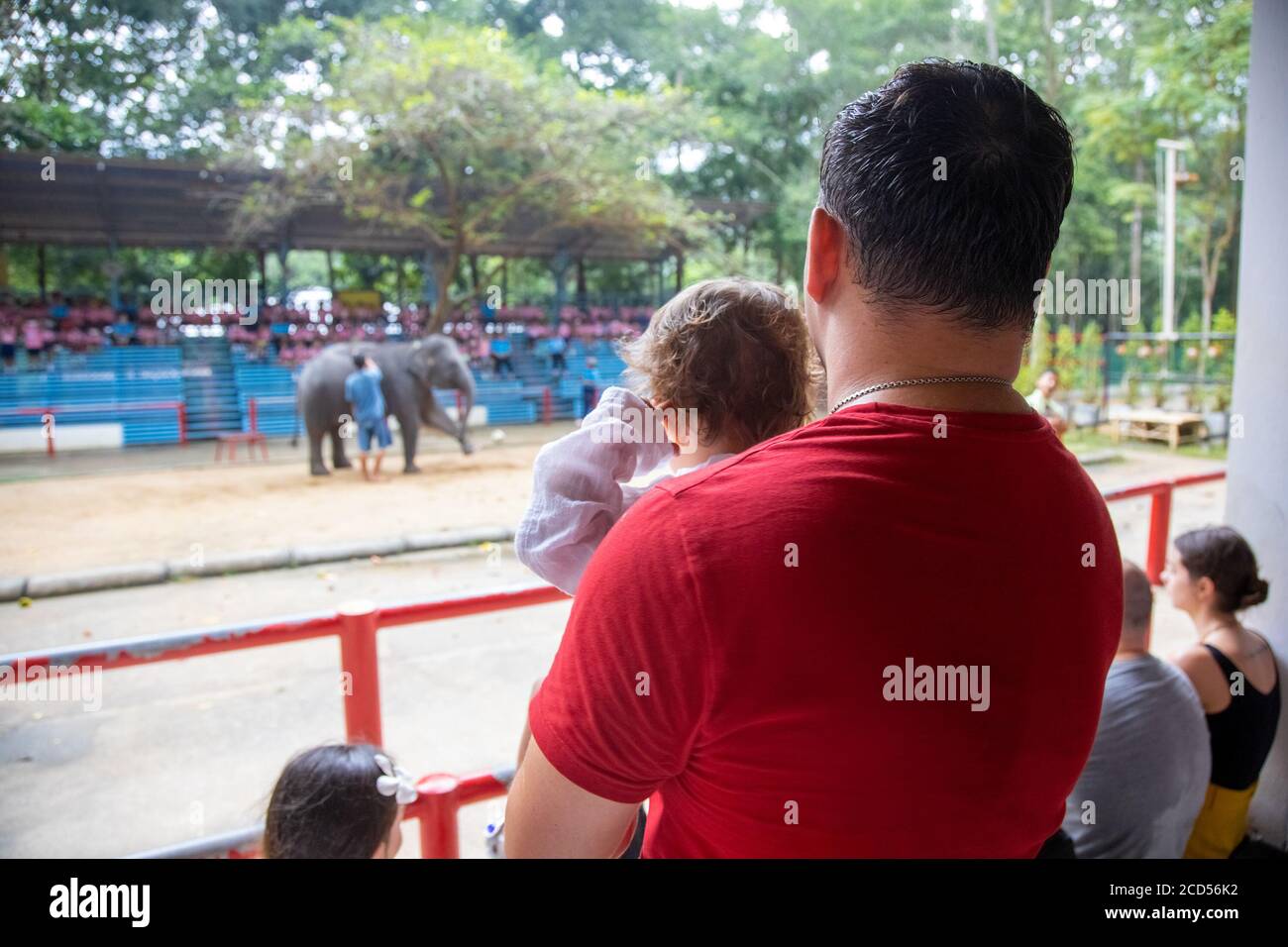 man is holding a toddler in his arms and watching the elephants perform. back view. Stock Photo
