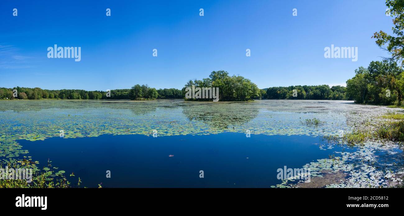 Landscape with water lilies in Twin Island Lake, Pine Plains, New York State, USA Stock Photo