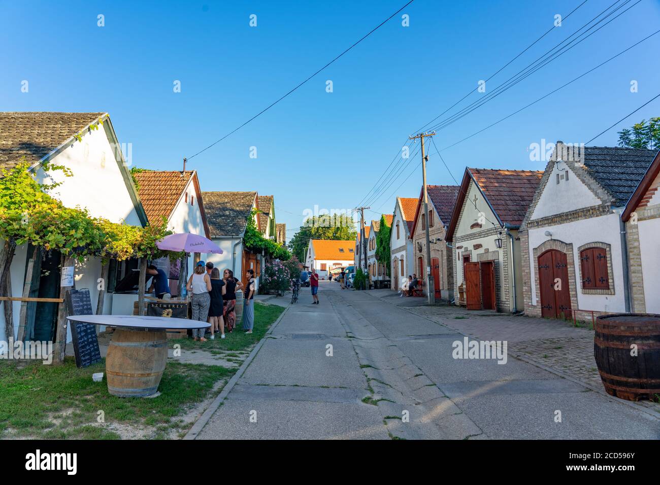 Hajos, Hungary - 08.21.2020: architecture of the Hajos Baja wine region which is famous for the museal colorful cellar village of Hajos with 1200 Stock Photo