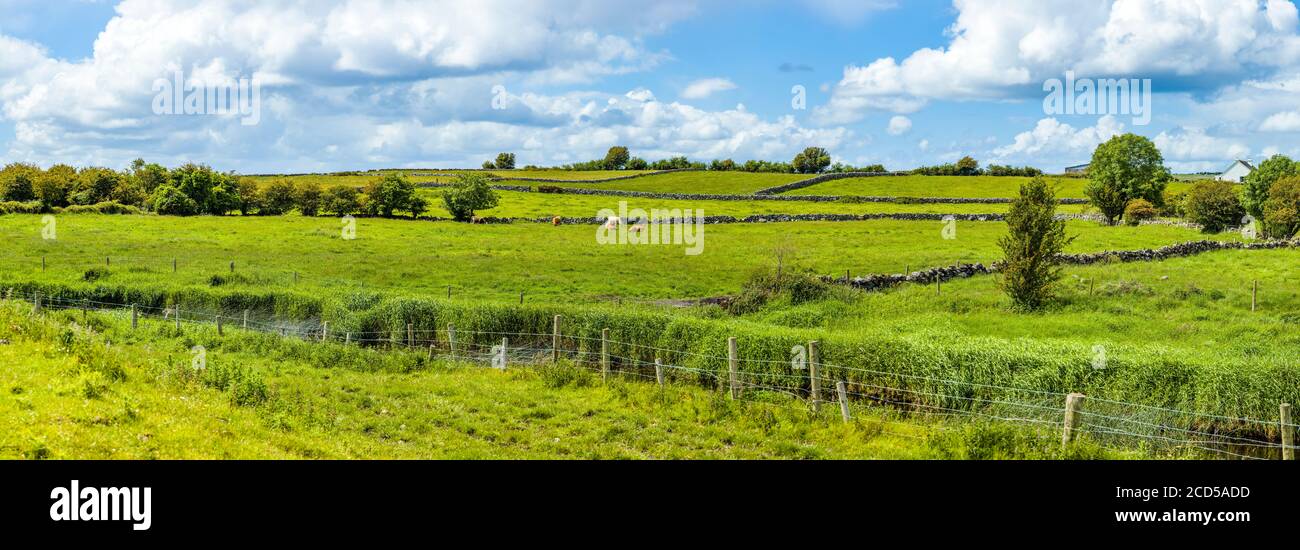 Green rural landscape with pasture in Headford, County Galway, Ireland Stock Photo
