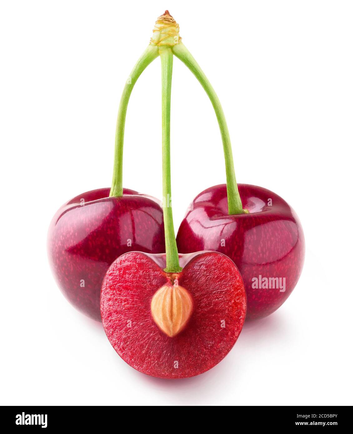 Isolated cherries. Three sweet cherry fruits on one stem, one cut in