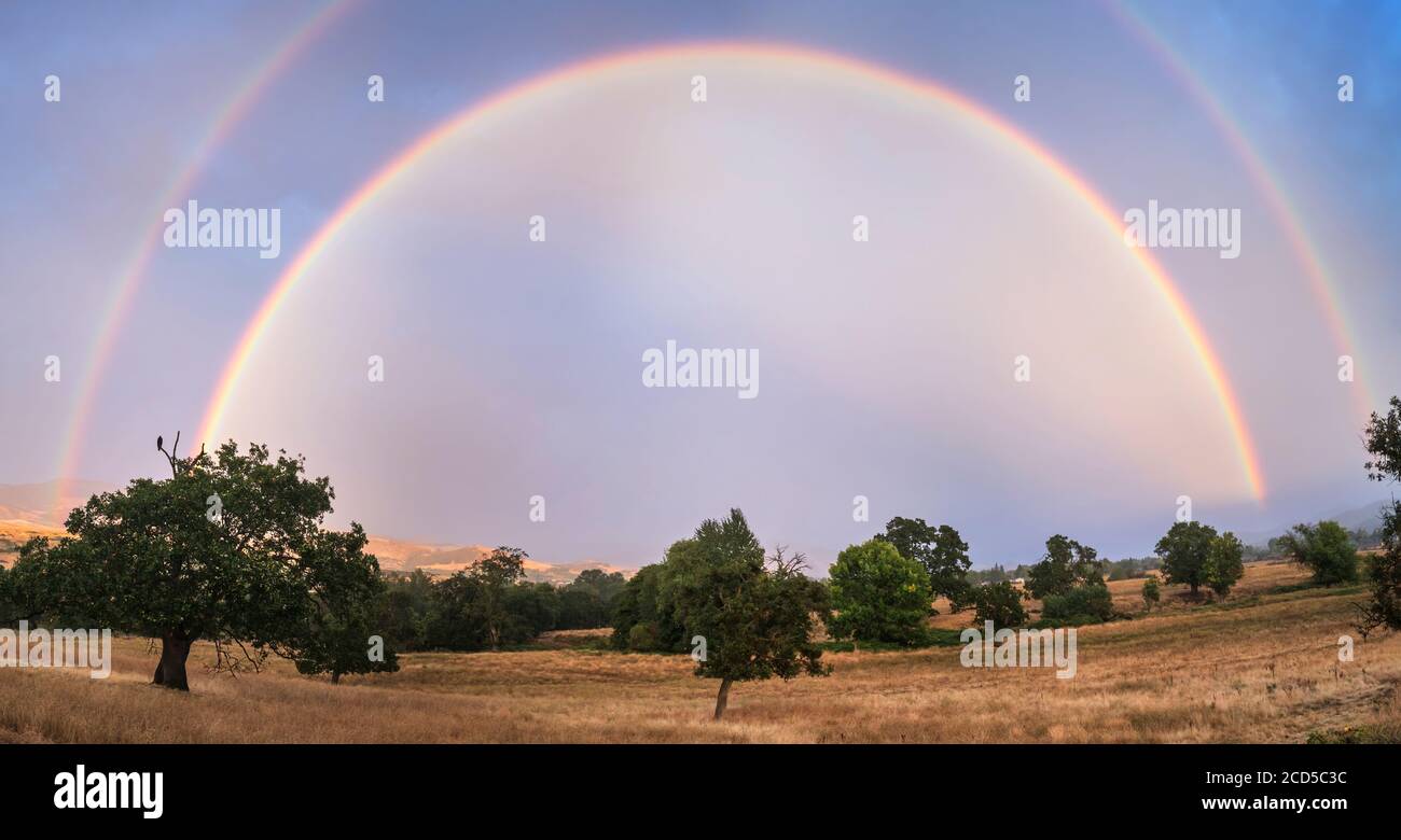 View of rainbow over trees, Oregon, USA Stock Photo
