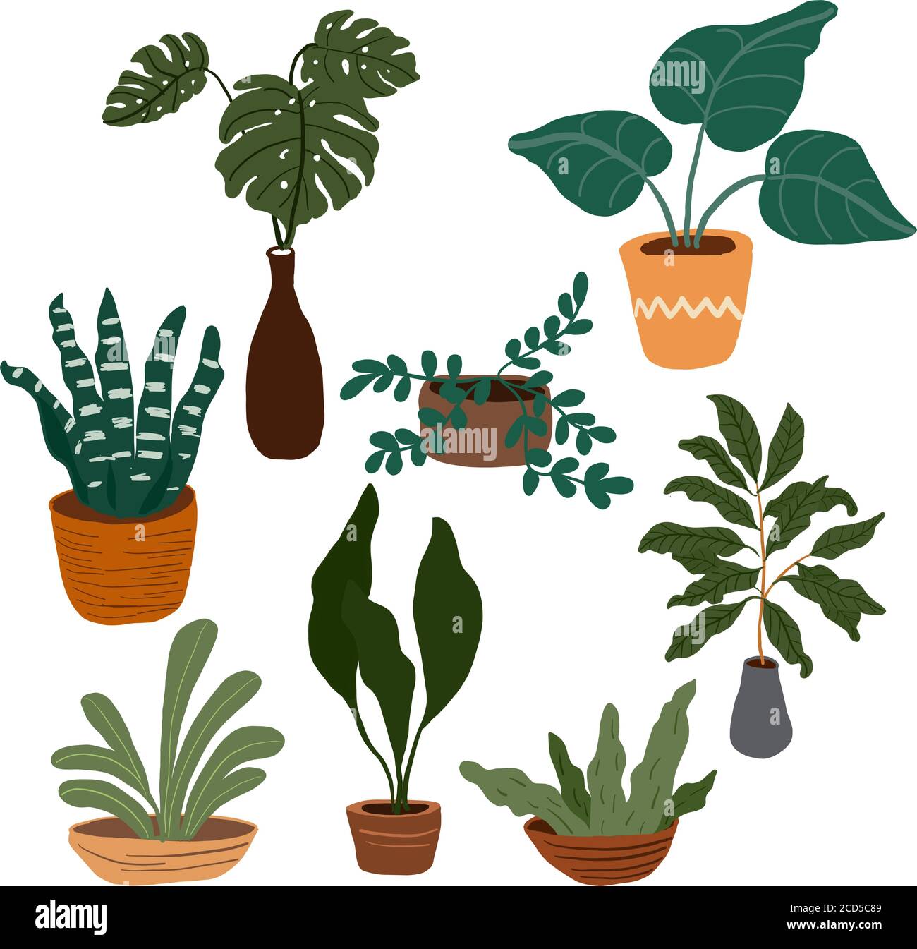 Set of houseplants on a white background in vector graphics. For the design of posters, wallpapers, covers for diaries, stickers Stock Vector