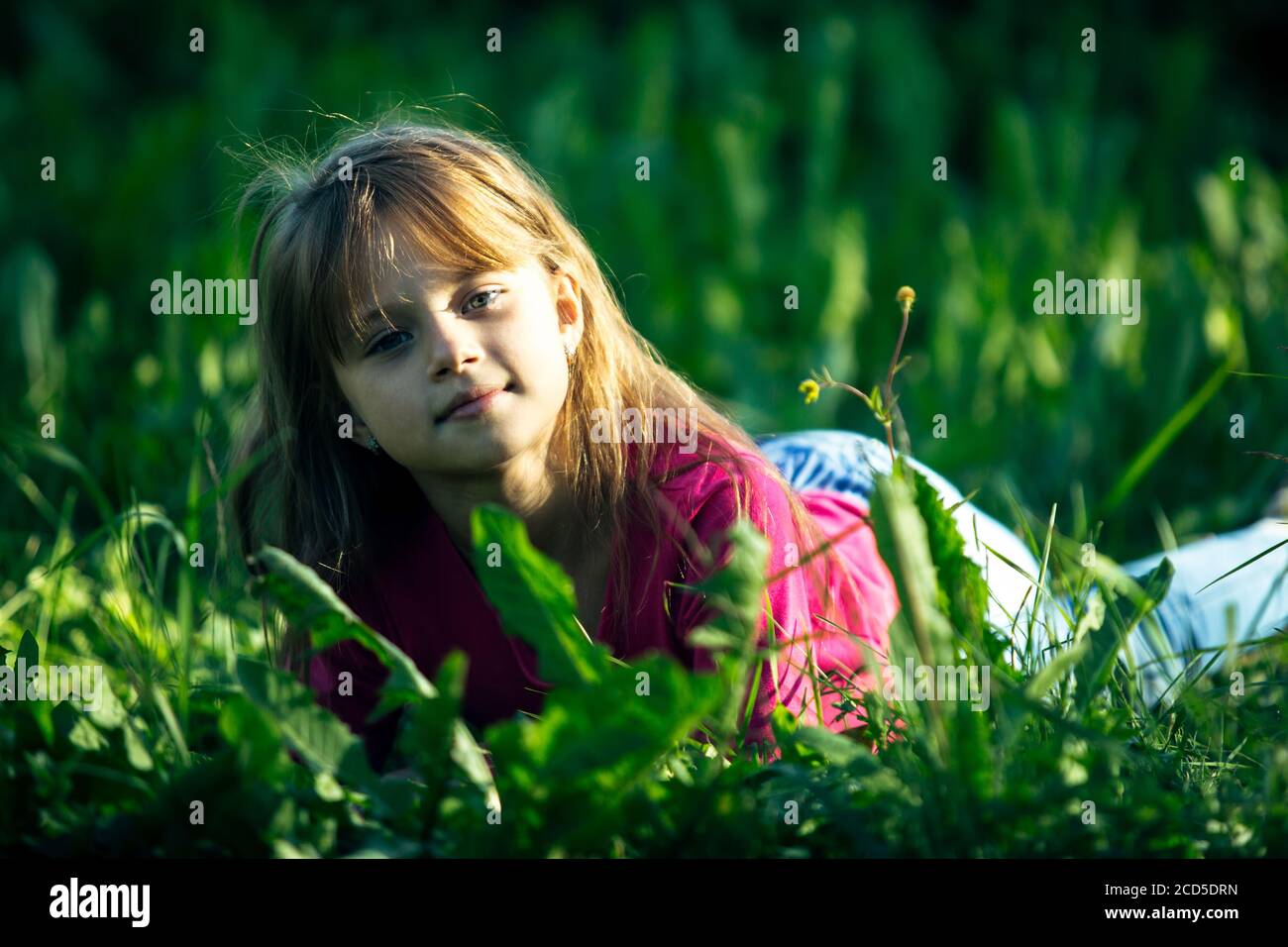 Portrait of little cute girl in the green grass Stock Photo - Alamy