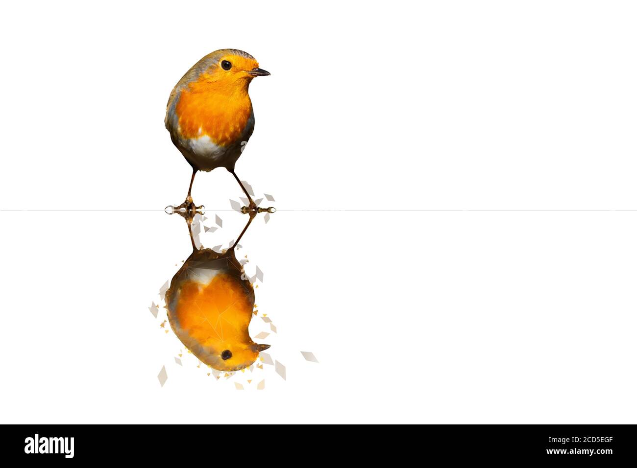 Polygonal bird image. Geometric low poly art. White background. Stock Photo
