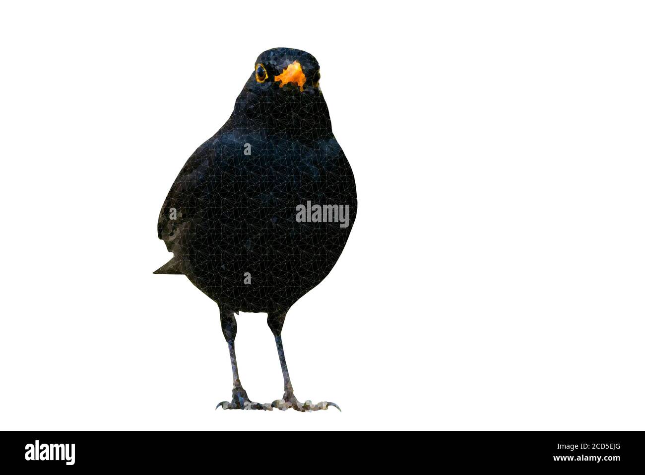 Polygonal bird image. Geometric low poly art. White background. Stock Photo