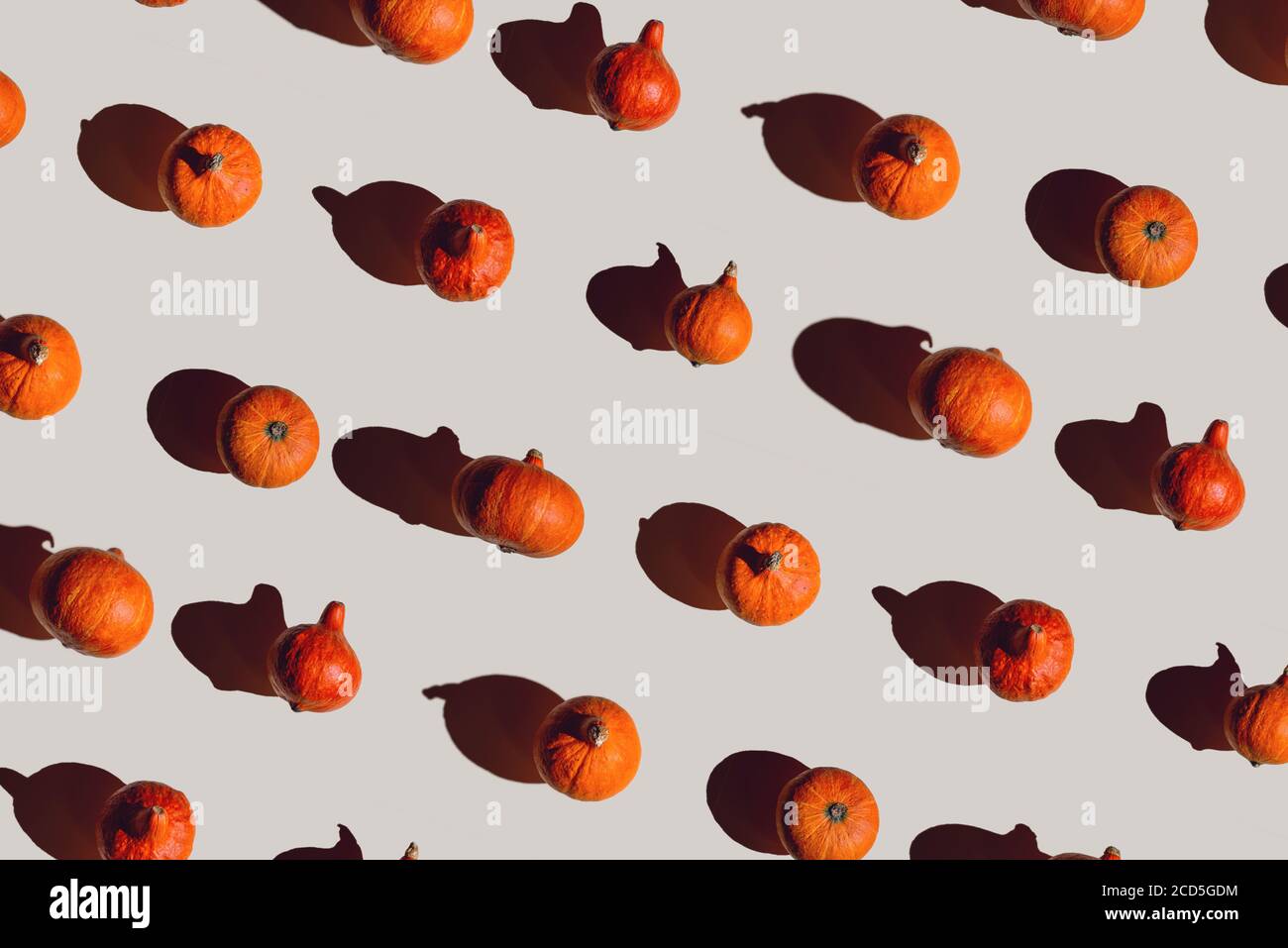 Pattern of many different pumpkins with a hard shadow on a gray ...