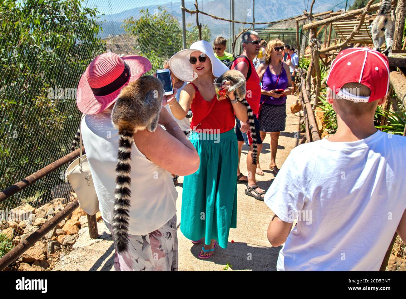 Visitors playing with Lemurs in Amazonas park, zoo between Neapolis & Kourounes village, Municipality of Agios Nikolaos, Lassithi, Crete, Greece. Stock Photo