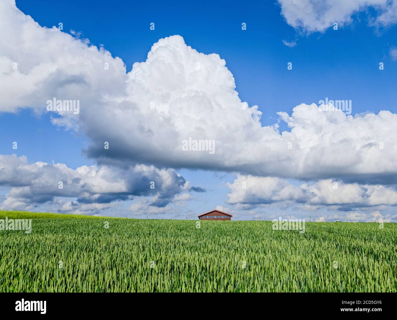 Fluffy clouds over green agricultural field Stock Photo