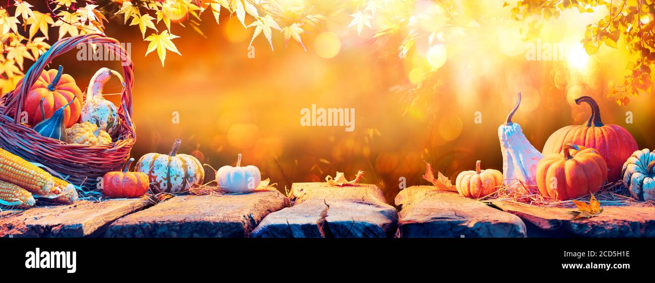 Harvest pumpkins hi-res stock photography and images - Alamy