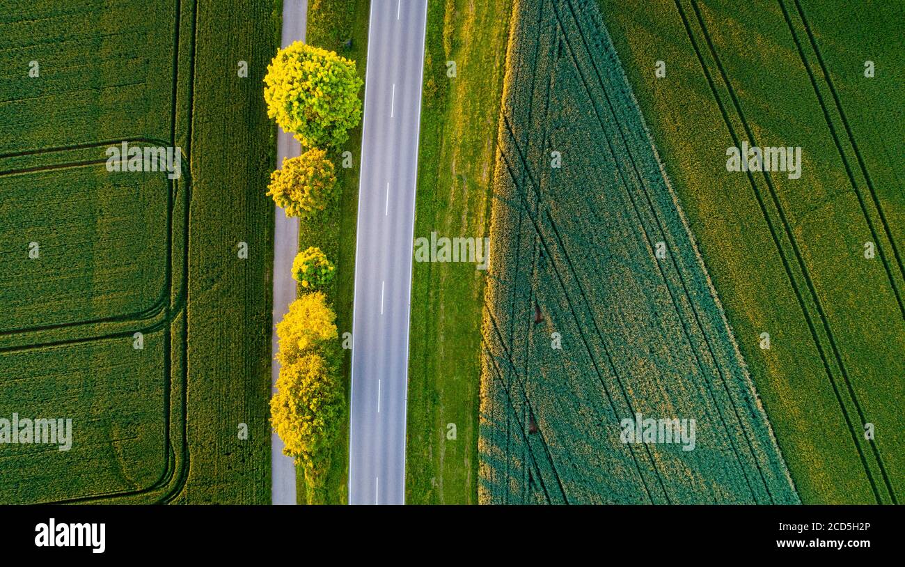 Directly above view of road through green rural landscape Stock Photo