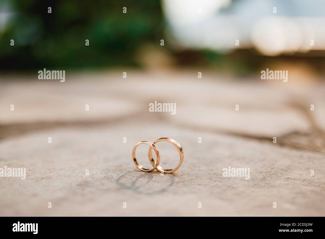 Gold rings for a wedding in an upright position on a blurred background