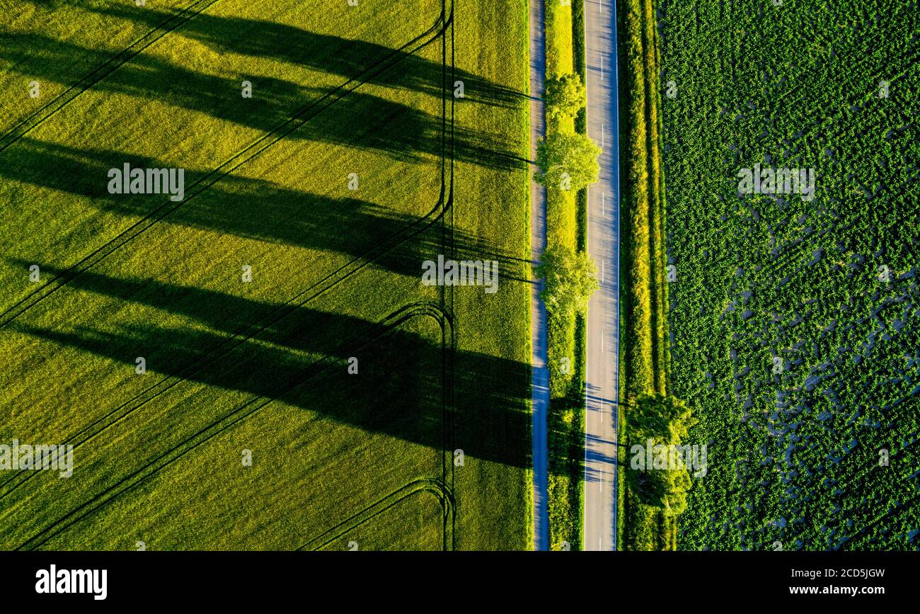 Aerial view of road through rural landscape Stock Photo