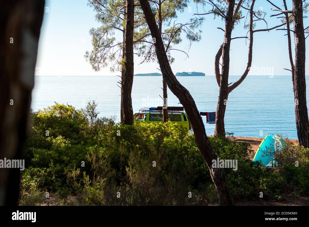 Vintage camper van parked on a beach near the pine tree forest Stock ...