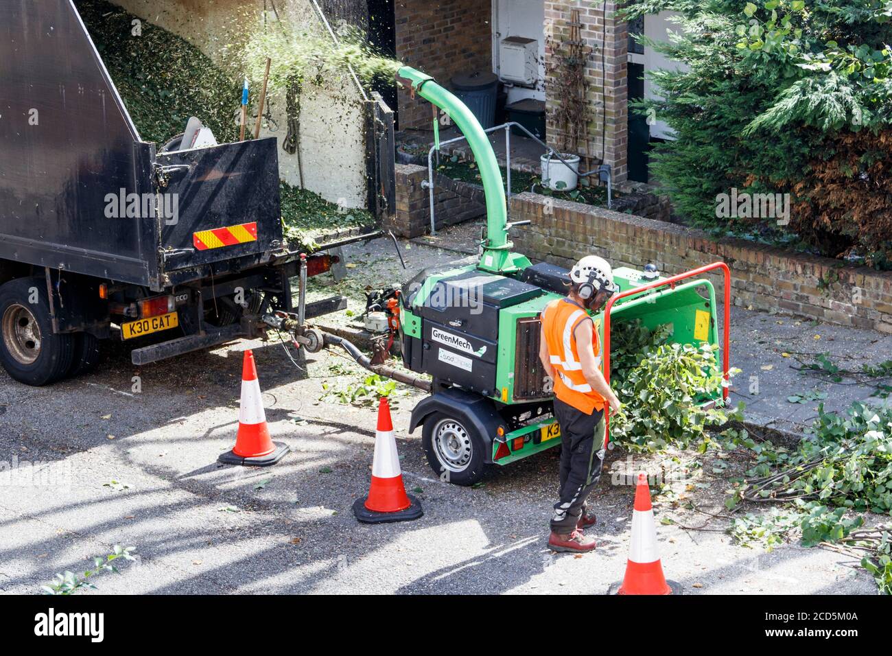 An arboriculturist in protective clothing gathering up cut branches and feeding them into a wood chipper, London, UK Stock Photo