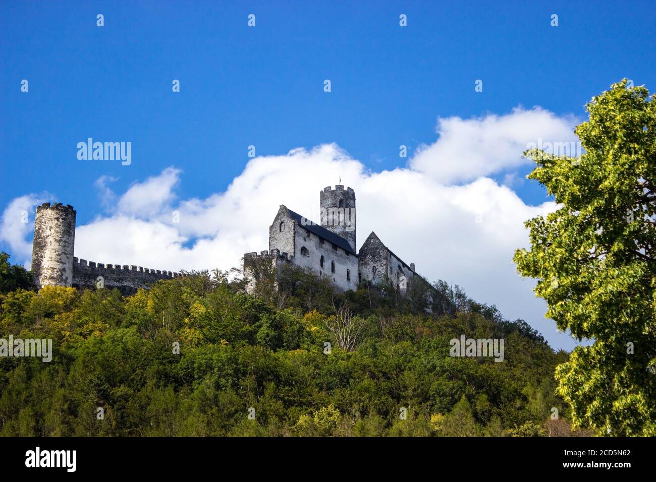 Panoramic view of Bezdez castle with two towers in the Czech Republic. In the foreground there are trees, in the background is a hill with castle and Stock Photo