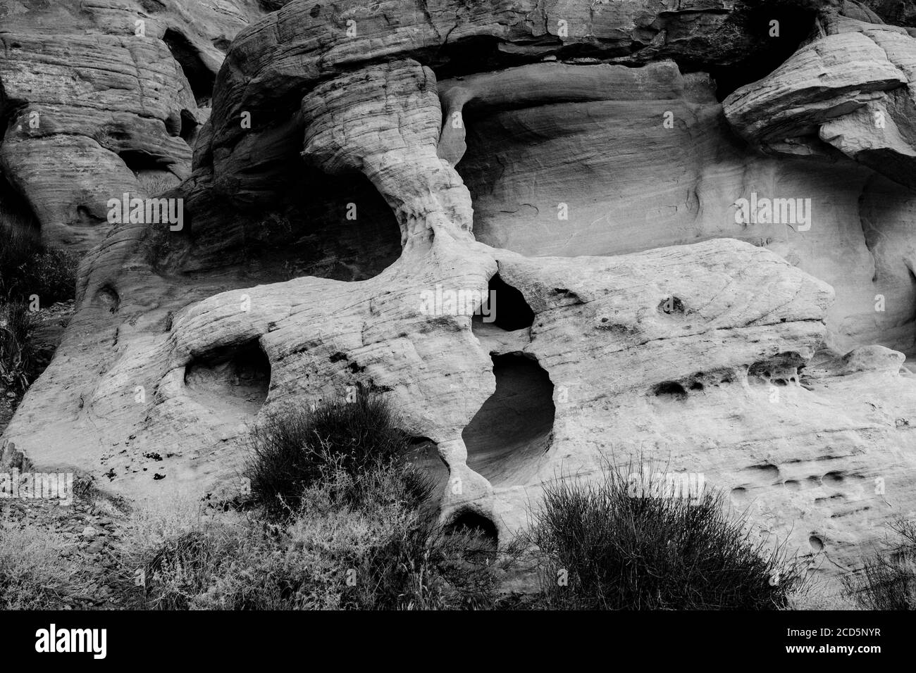 Aztec Sandstone, State Park, Mohave Desert, Overton, Nevada, USA Stock