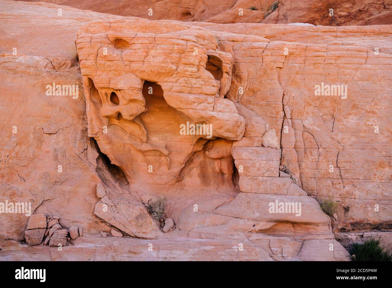 Aztec Sandstone, State Park, Mohave Desert, Overton, Nevada, USA Stock