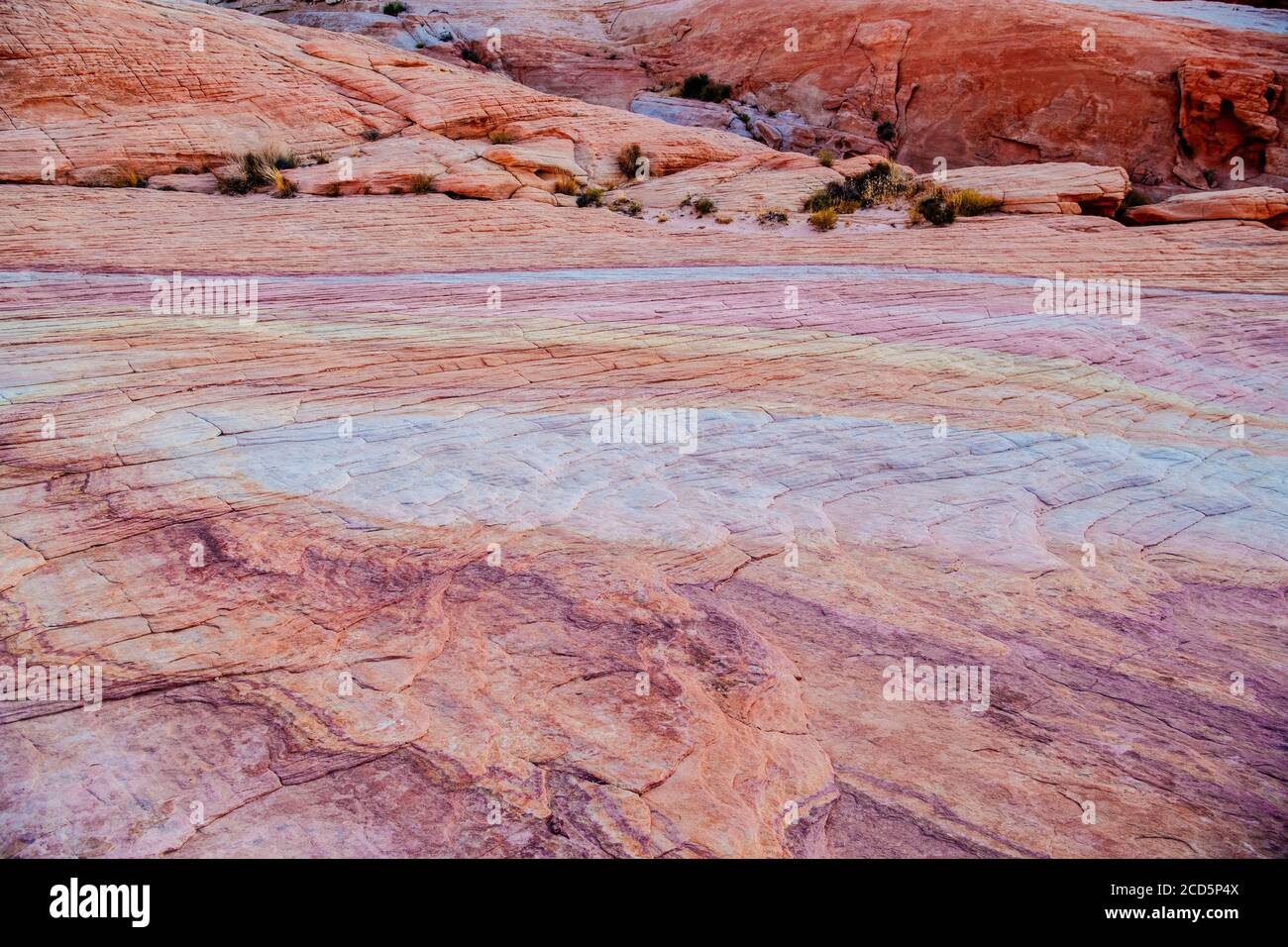 Aztec Sandstone, State Park, Mohave Desert, Overton, Nevada, USA Stock