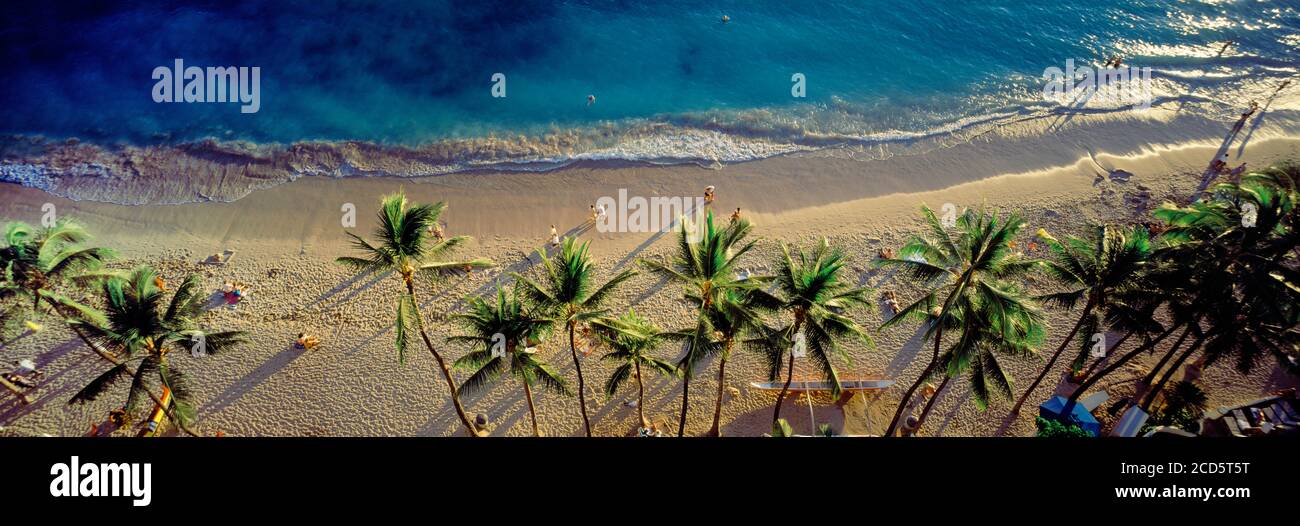 High angle view of palm trees on sandy Waikiki Beach and blue sea, Waikiki, Hawaii, USA Stock Photo