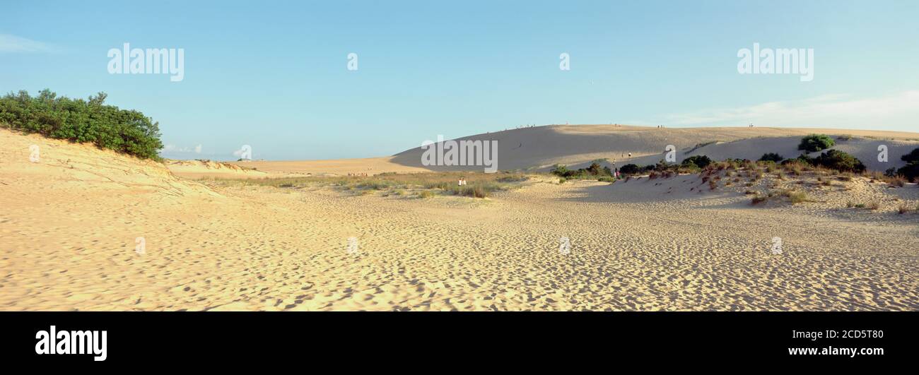 Sand Dunes on beach, Jockeys Ridge State Park, Outer Banks, North Carolina, USA Stock Photo