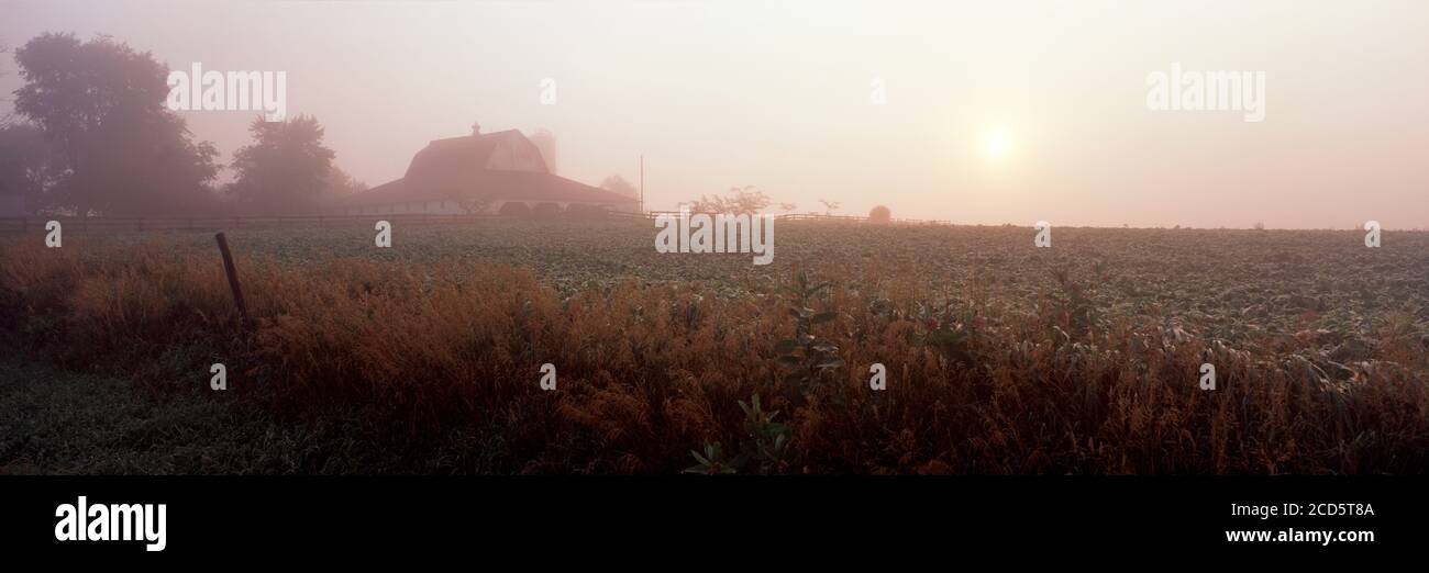 Farmhouse and crops in field at misty autumn morning Stock Photo