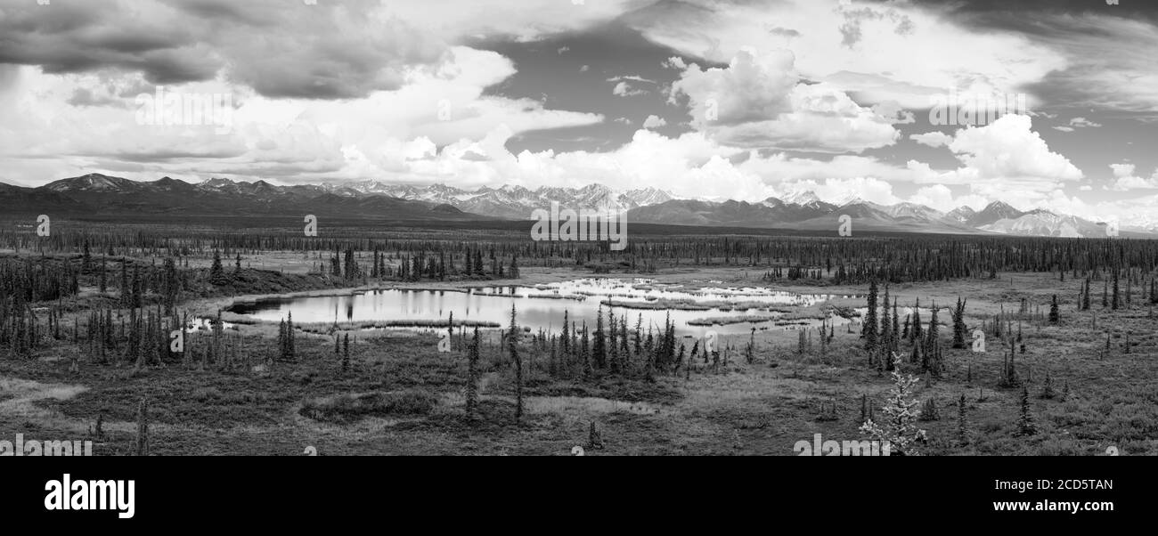 Panoramic view of the Alaska Range, Nenana Mountain and the Nenana Glacier Valley, Alaska, USA Stock Photo