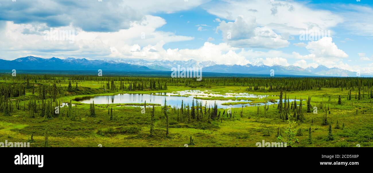 Alaska Range, Nenana Mountain and Nenana Glacier Valley, Alaska, USA Stock Photo