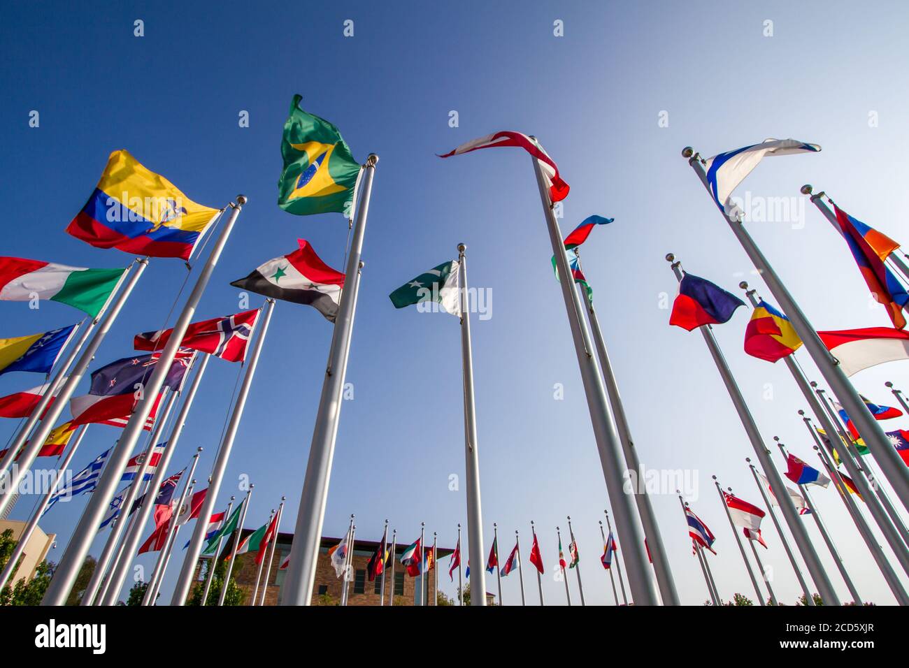 Multinational - Upward view of the flags in the Global Citizens Plaza.  Chapman University, Orange, California, USA Stock Photo