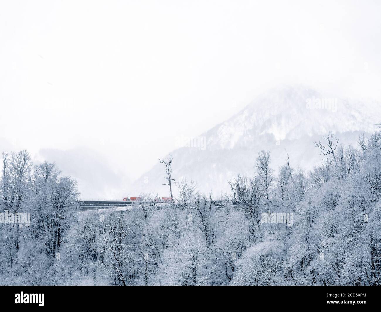 White fog background cold hi-res stock photography and images - Alamy