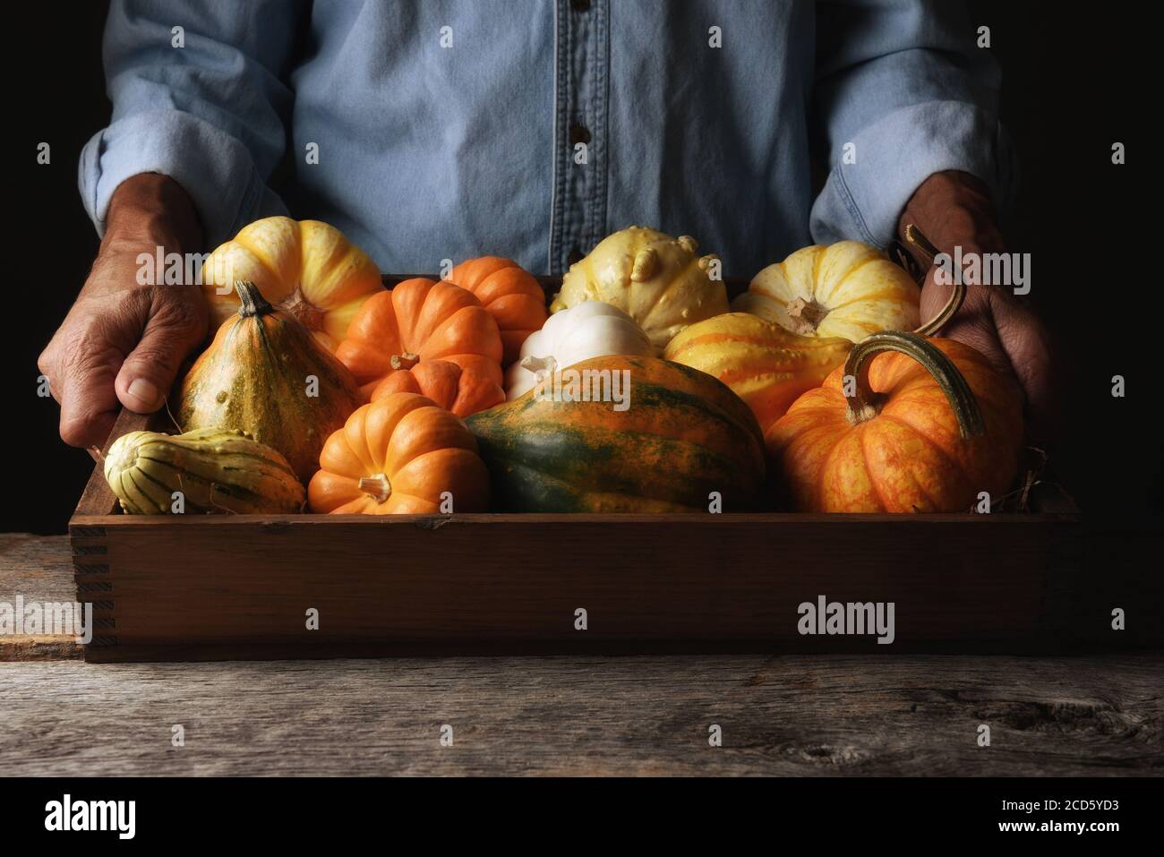 Farmer at his stand holding a wood crate of Autumn vegetables and decorative gourds and pumpkins, with warm side light. Stock Photo