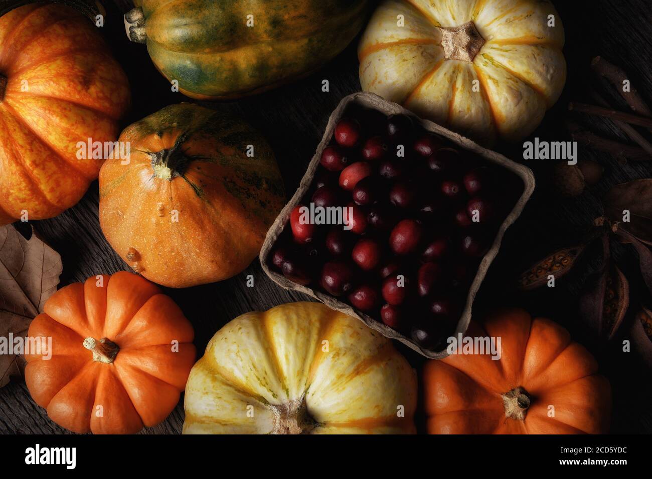 Flat Lay Autumn Still Life with warm side light. An assortment of Fall decorative gourds, squash and pumpkins around a basket of fresh cranberries. Stock Photo
