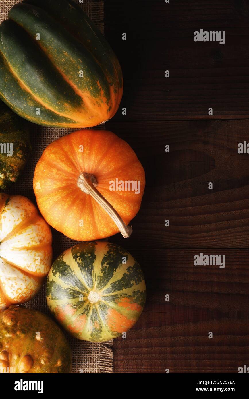 Flat lay image of Autumn Gourds and decorative pumpkins on dark wood table with warm side light. Stock Photo