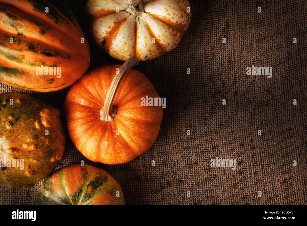 Decorative gourds and pumpkins on a burlap surface with copy space and warm side light. Stock Photo
