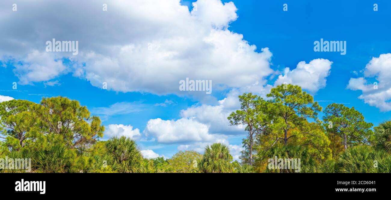 White clouds in blue sky over Venice, Florida, USA Stock Photo