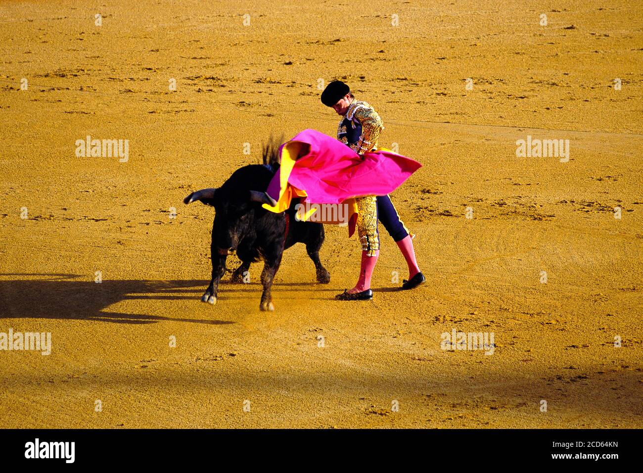 Bullfight, Seville, Andalusia, Spain Stock Photo