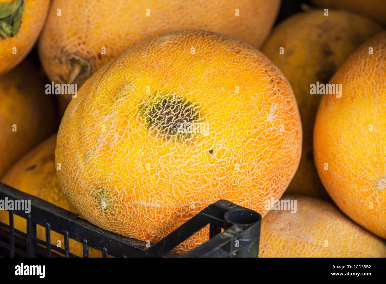 Healthy food. Vitamins. yellow melon. Melon. Diet Stock Photo Alamy