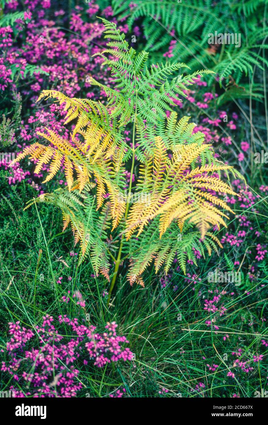 Fading sign hi-res stock photography and images - Alamy