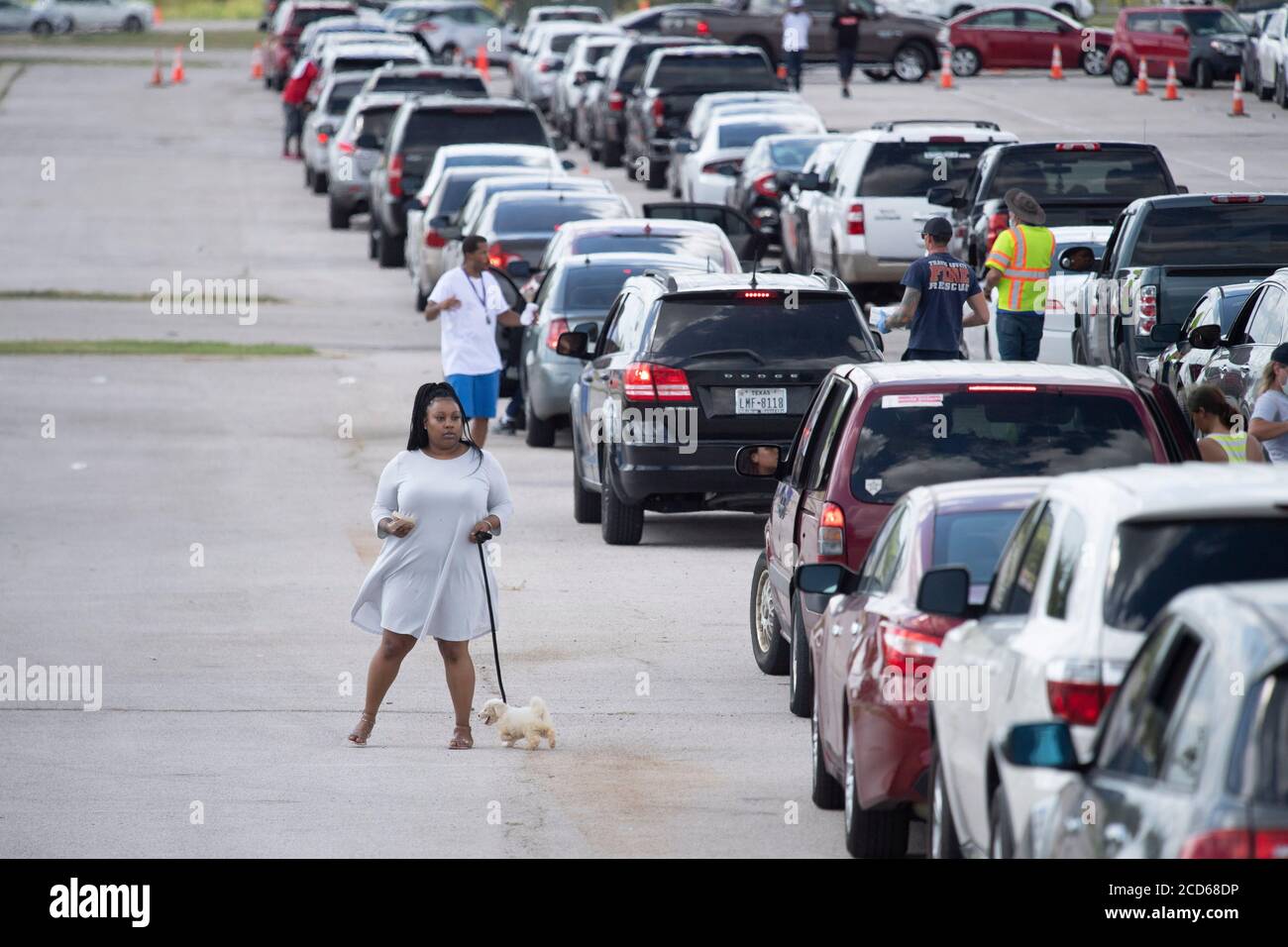 Austin, TX USA August 26, 2020: Hundreds of cars from coastal east Texas and southwest Louisiana wait in line at a Hurricane Laura evacuation center at the Circuit of the Americas race track parking areas. After spending hours in her car, this woman walks her dog. Early-arriving drivers received vouchers for hotel rooms. Once those ran out, drivers were directed to other evacuation centers in Waco and Dallas. Laura is expected to make landfall overnight as a Category 4 storm and wreak havoc along the Texas and Louisiana coasts and inland. Credit: Bob Daemmrich/Alamy Live News Stock Photo